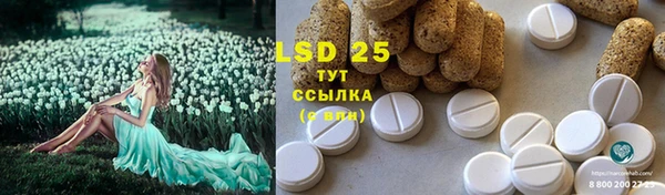 шишки Кукмор