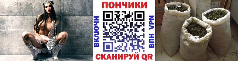 Бошки Шишки ГИДРОПОН  Купить закладки  Асино 